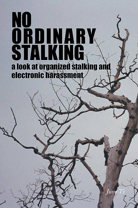 no_ordinary_stalking.jpeg