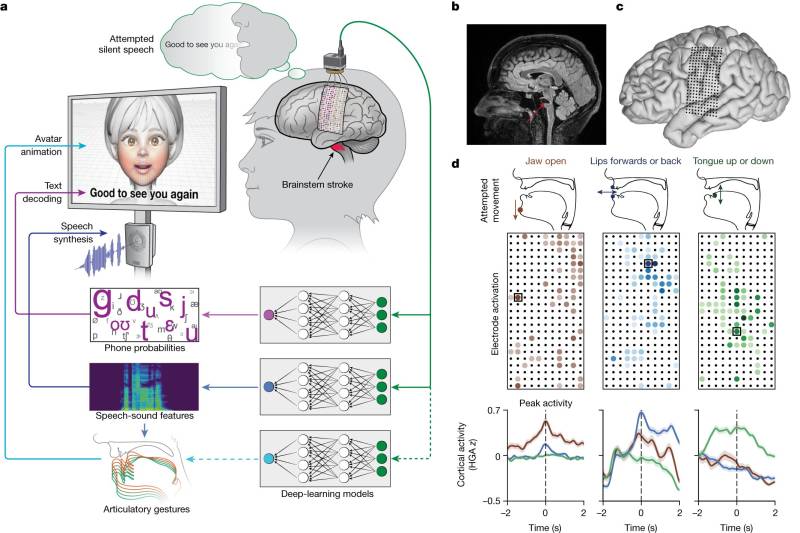 brain-computer-interfa.jpg