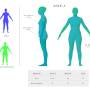 human_body_model_2sides.jpg